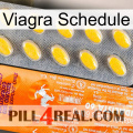 Viagra Schedule new05